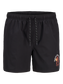 JPSTMAUI STAR SWIM SHORTS