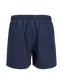 JPSTMAUI STAR SWIM SHORTS