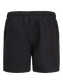JPSTMAUI STAR SWIM SHORTS