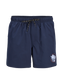 JPSTMAUI STAR SWIM SHORTS