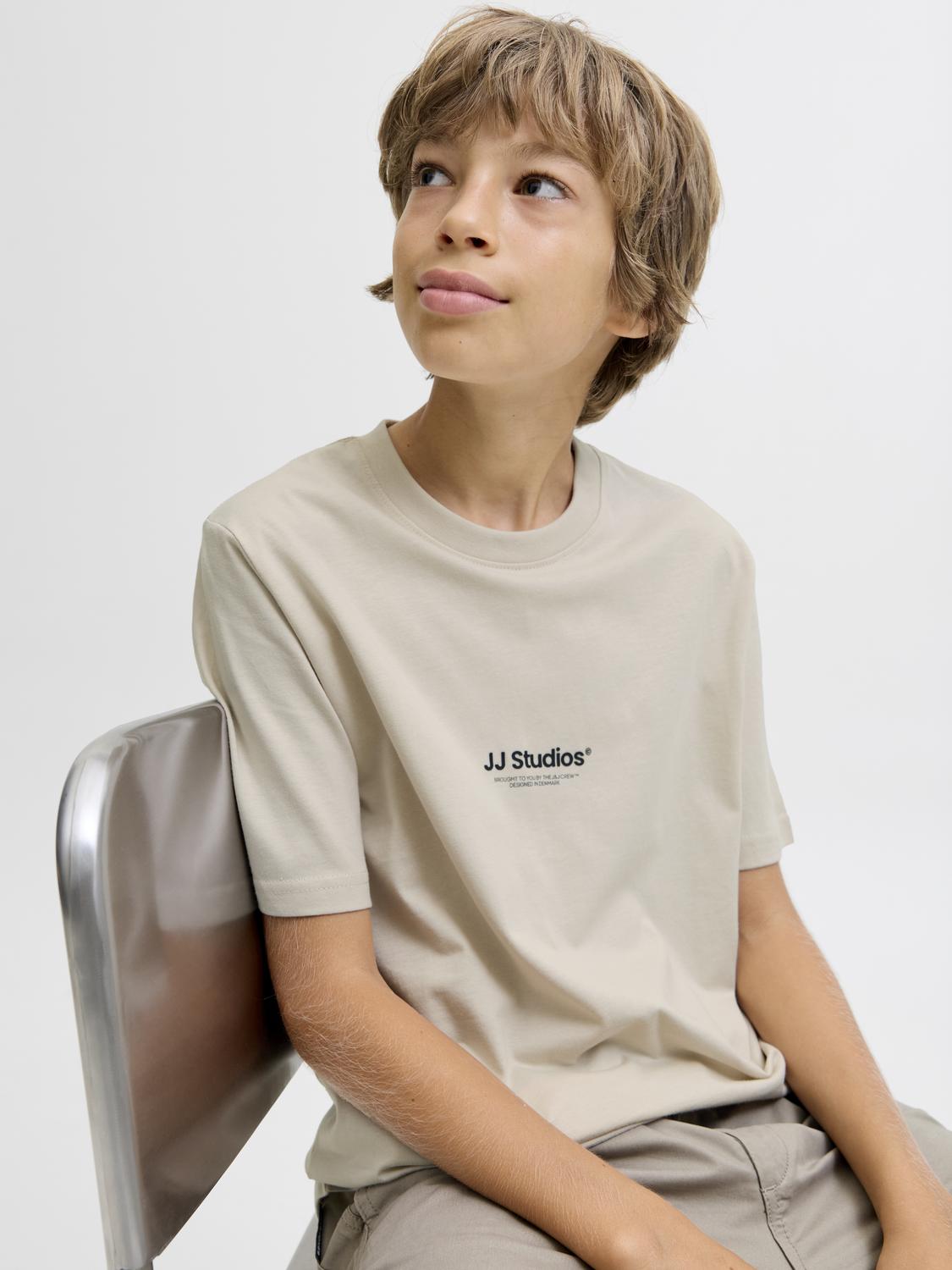 JJESOHO T-shirt - Moonbeam