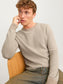 JJEGLOBE KNIT CREW NECK