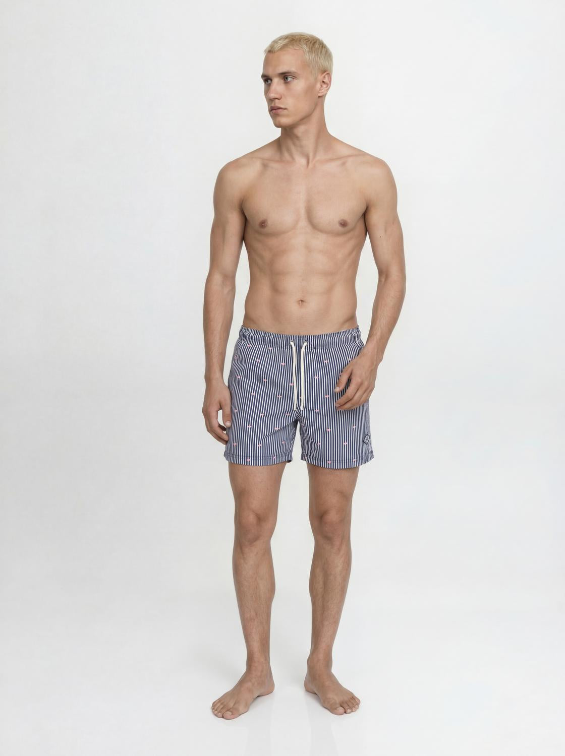 JPSTMAUI BREEZE MINI STRIPE SWIM SHORTS
