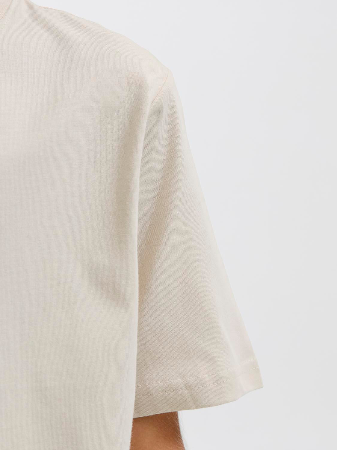 JJESOHO T-shirt - Moonbeam